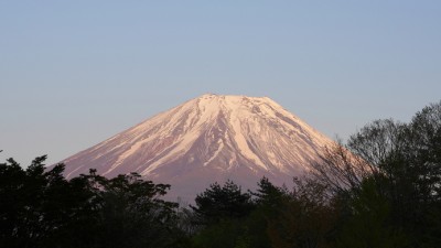 기사 썸네일